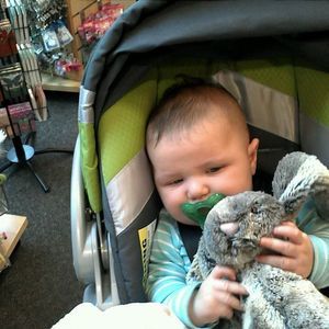 Meet your Posher, Julia